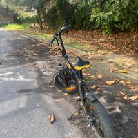 Bici elettria