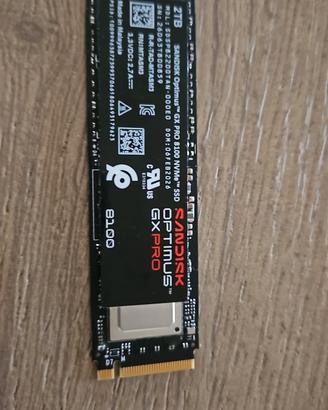SanDisk Optimus GX Pro 8100 2TB 