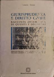 Giurisprudenza e diritto civile