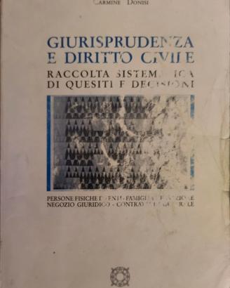 Giurisprudenza e diritto civile