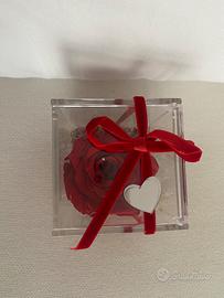 Rosa rossa stabilizzata