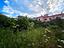 Immagine 18