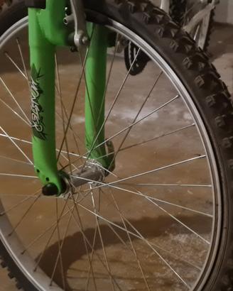 Bici  MBM Monster