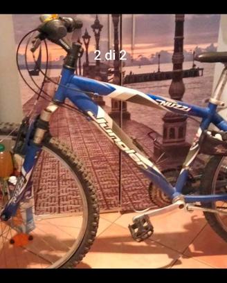 Bici Mountain bike