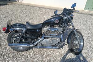 Harley sportster 883