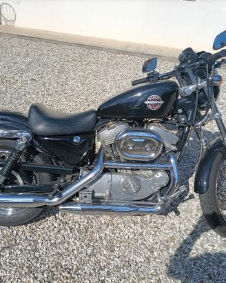 Harley sportster 883