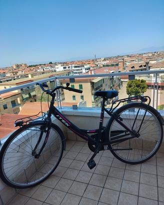 Bici Itek