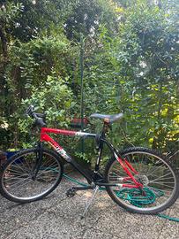 MTB Tornado netbike
