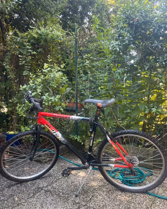 MTB Tornado netbike
