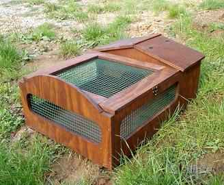 TERRARIO CON CASETTA TRATTATO 60x40x20