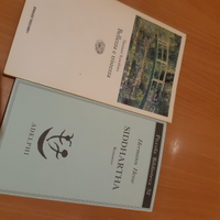 Siddharta/ Bellezza e tristezza romanzi