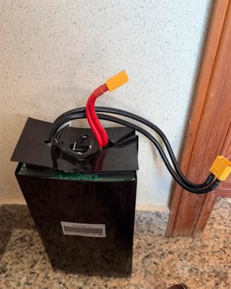 Celle batteria pylontech us2000