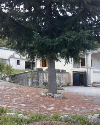 Terreno con casale e 2 vani accessori