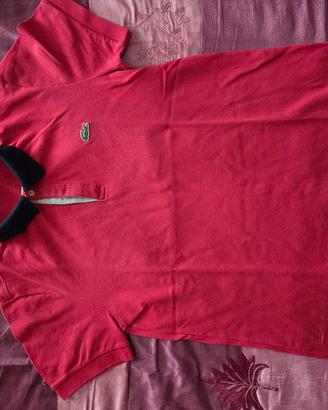 polo Lacoste 