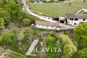 Casa con terreno a Roveré della Luna