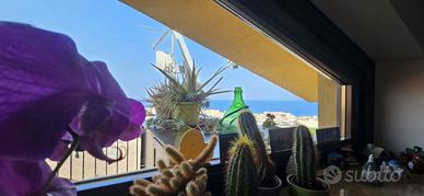 Attico/Mansarda Nizza di Sicilia