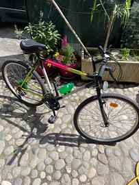 Bicicletta Mountain-bike