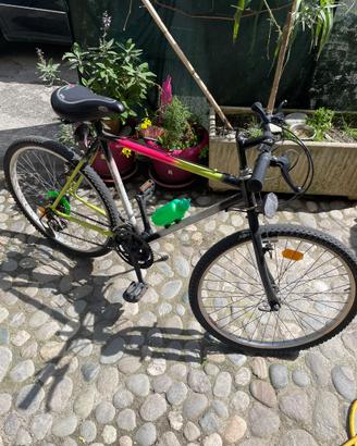 Bicicletta Mountain-bike