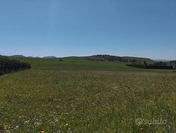 Terreno agricolo zona residenziale