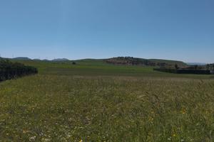 Terreno agricolo zona residenziale