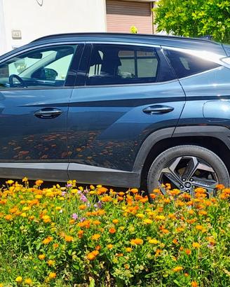 TUCSON Hybrid - 180 cv + 50