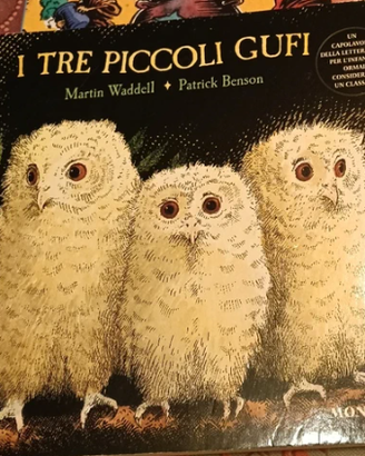 "I tre piccoli gufi" di Patrick Benson