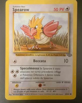 Spearow mazzo Jungle