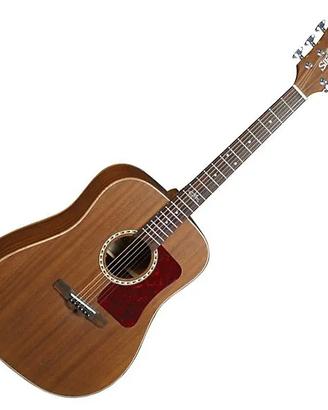 CHITARRA ACUSTICA SIERRA SEQUOIA -DREADNOUGHT