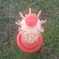Scola bottiglie