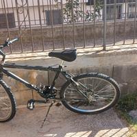 BICICLETTA  MOUNTABICHE