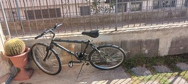 BICICLETTA  MOUNTABICHE