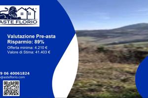Immobile in asta di 17959 m² a Retorbido