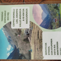 Terreno edificabile con vista Monte Rosa