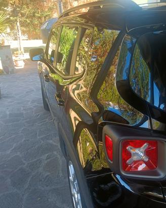 Jeep Renegade 1.3 turbo GPL