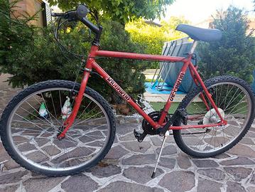 Mountain bike usate 
