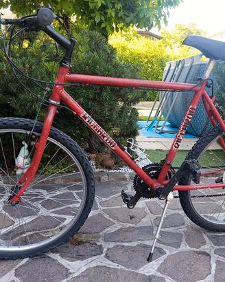 Mountain bike usate 