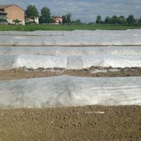 AGROVEL TNT 23gr 1,4x1500mt