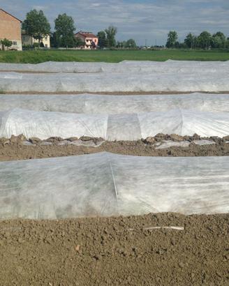 AGROVEL TNT 23gr 1,4x1500mt