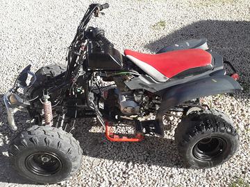 quad elstar 300cc 167 FML