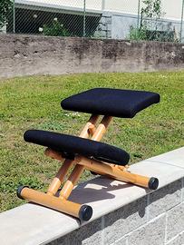 🔴 Sedia Ergonomica Varier Multi™ Balans Originale