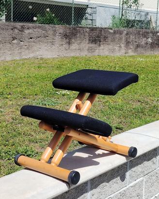 🔴 Sedia Ergonomica Varier Multi™ Balans Originale