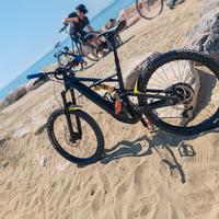 specialized kenevo expert 
