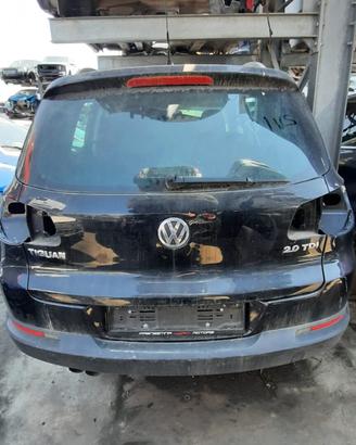 VOLKSWAGEN TIGUAN 2.0 TDI 2009 - PORTELLONE POSTER