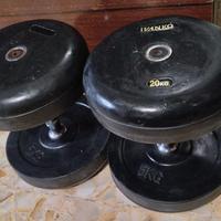 Ivanko coppia pesi da 20kg