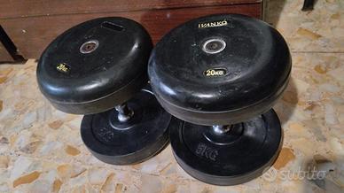Ivanko coppia pesi da 20kg