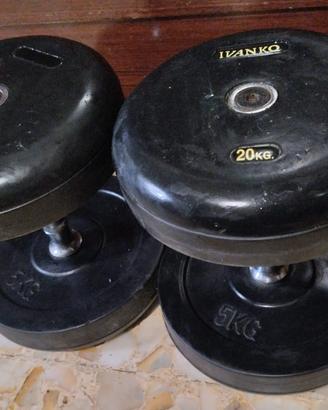 Ivanko coppia pesi da 20kg