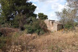 S.V. Pischina Ruia-Terreno uliveto con Casa C2