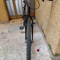 Bicicletta in buone condizioni