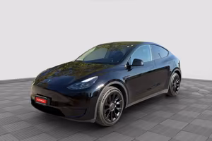 TESLA Model Y Model Y Long Range AWD