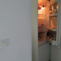 frigo incasso 